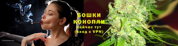 spice Покачи