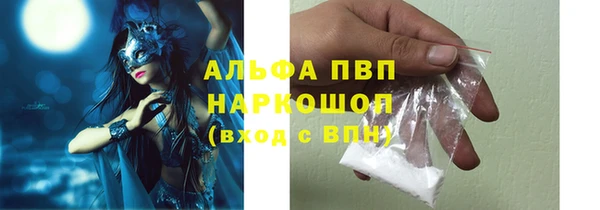 spice Покачи
